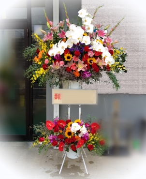 「コザワ花園」　（愛知県清須市）の花屋店舗写真3