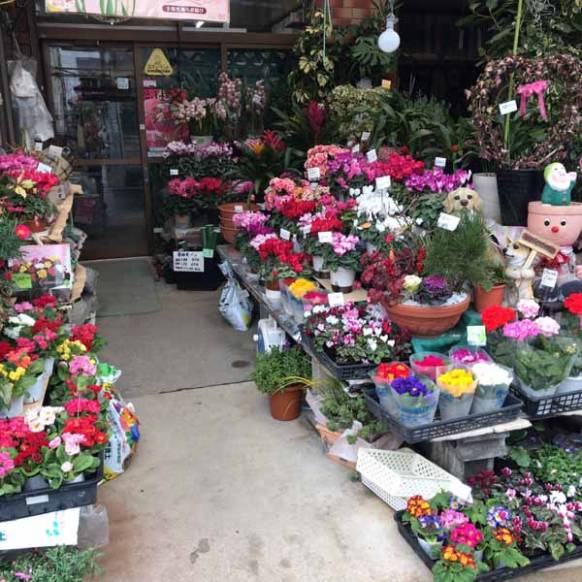 「コザワ花園」　（愛知県清須市）の花屋店舗写真1